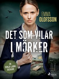 Omslaget till Det som vilar i mörker av Emma Olofsson