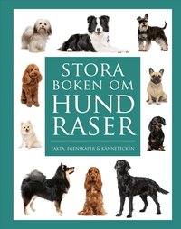 Omslaget till Stora boken om hundraser : Fakta, egenskaper och kännetecken av Tom Jackson