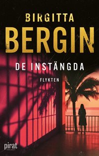 Omslaget till Flykten av Birgitta Bergin