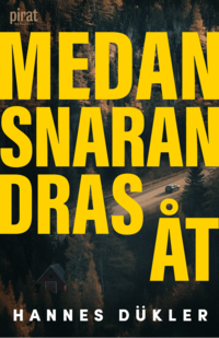 Omslaget till Medan snaran dras åt av Hannes Dükler