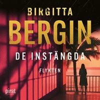 Omslaget till Flykten av Birgitta Bergin