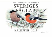 Omslaget till Sveriges fåglar. Kalender 2027 av Carl Christian Tofte och Tommy Dybbro