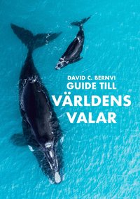 Omslaget till Guide till världens valar av David C. Bernvi